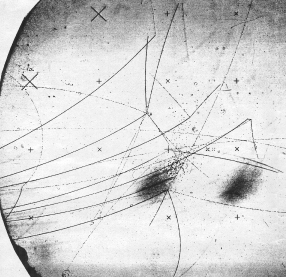 [Bubble chamber photo of antiprotons]